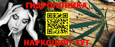 прущая мука Гудермес